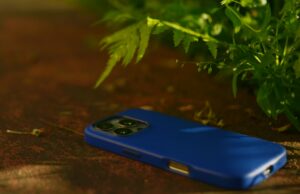 Phone in blue case, face down by a plant.