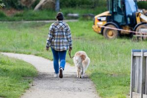 Woman walking her dog near heavy equipment.